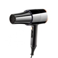 2020 Hot Wholesale OEM Custom AC/DC Salon Hair dryer Professional Blow Dryer Hair Dryer with led