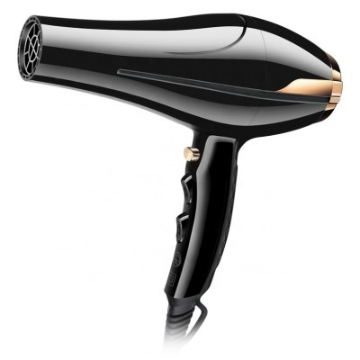 Hot Sale OEM Salon Professional AC Motor Strong Wind Salon  Hair Dryer Sale With Ionic