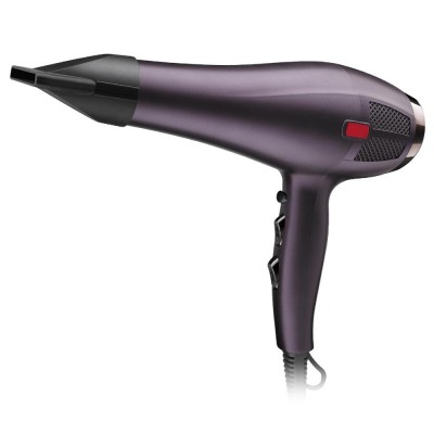 Professional Salon Beauty Salon 2000W Hair Dryer