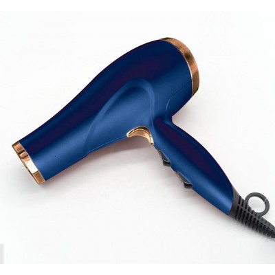 OEM Custom Nano Salon Hair Dryer Blow Dryer Fast Dry Low Noise Professional Hair Dryer With Concentrator/Diffuser/Ionic Function