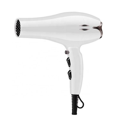 OEM Customize 2200W High Speed Professional Hair Blow Dryer Salon Hair Dryer With Ionic Cool Shot Function